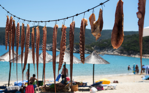 Frischer Tintenfisch - © Ppalis Michalakis