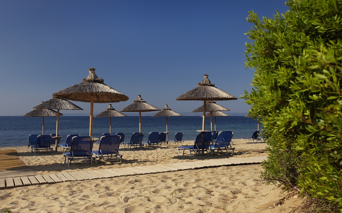 Hotel Blue Dolphin