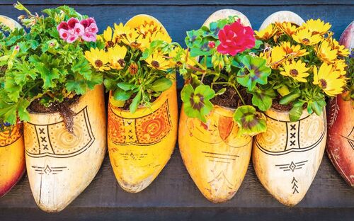 Holzschuh-Dekoration - © mediagram - Fotolia