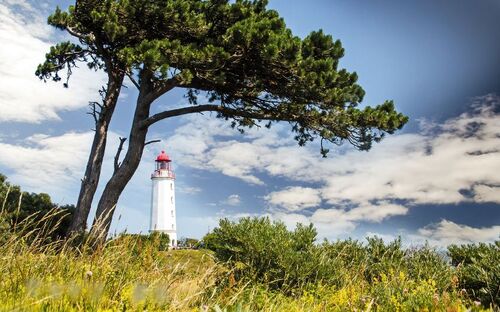 Insel Hiddensee - © doris oberfrank-list - Fotolia