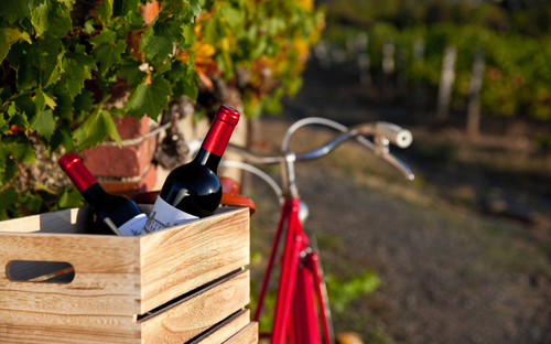 Französischer Wein - ©Thierry RYO - stock.adobe.com