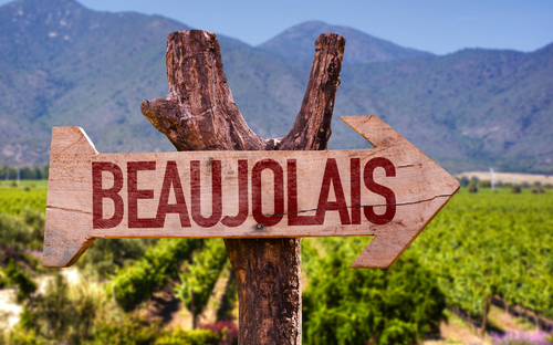 Weinbaugebiet Beaujolais - © gustavofrazao - stock.adobe.com