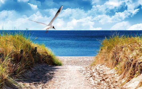 Ostseestrand - © refresh(PIX) - Fotolia