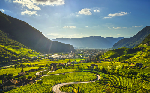 Südtiroler Weinstraße - © stevanzz - stock.adobe.com