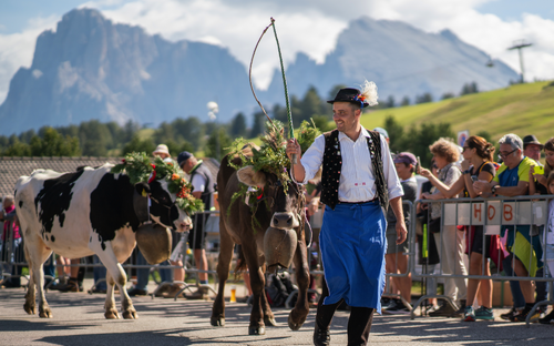 Seiser Alm - Almabtrieb - ©Seiser Alm Marketing/Fabian Dalpiaz