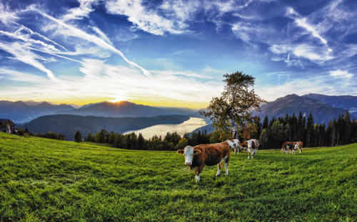 Millstätter See - © René Pi/Pyranha - Fotolia