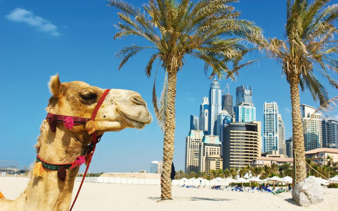 Dubai - © Poles - Fotolia