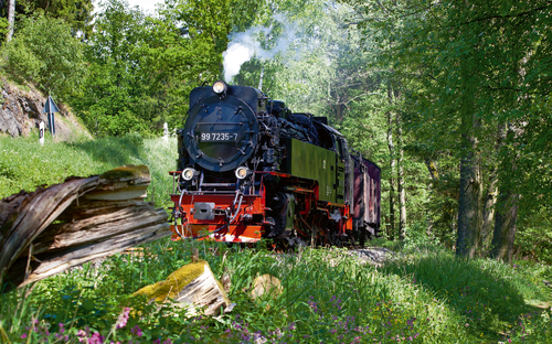 Harzer Schmalspurbahn - © Daniel Kühne - Fotolia