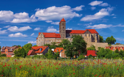 Quedlinburg - Burgberg - © LianeM - Fotolia