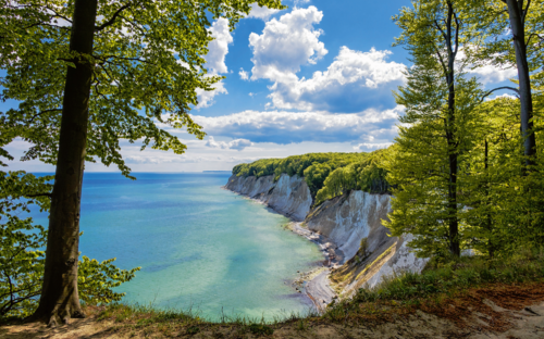 Rügen - Kreidefelsen - © Rico K. - Fotolia