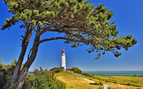 Insel Hiddensee - © Henner Damke - Fotolia