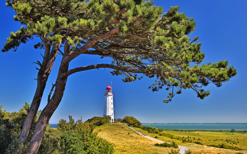 Insel Hiddensee - © Henner Damke - Fotolia