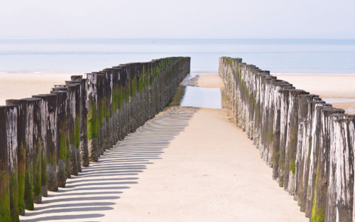 Belgische Küste - © bofotolux - Fotolia