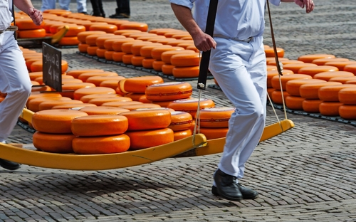 Alkmaar - Käsemarkt - © forcdan - stock.adobe.com