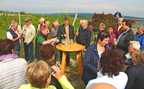 Weinprobe im Kamptal - ©Langenlois