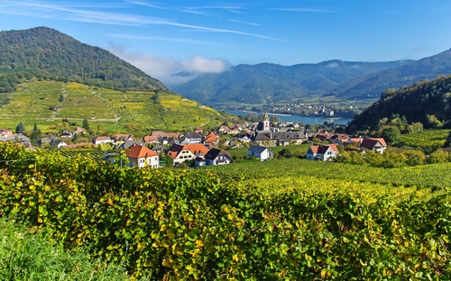 Blick über Spitz - © stefan sio - stock.adobe.com