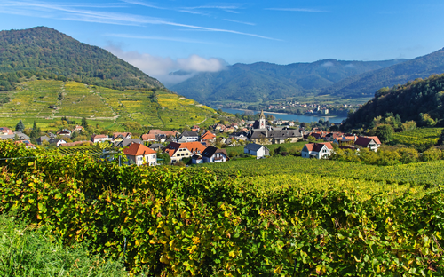 Blick über Spitz - © stefan sio - stock.adobe.com