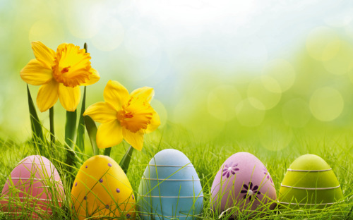 Frohe Ostern! - © lily - Fotolia