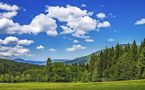 Bayerischen Wald - © bietau - stock.adobe.com