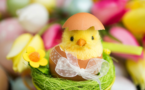 Frohe Ostern! - ©ChristArt - stock.adobe.com
