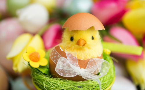 Frohe Ostern! - ©ChristArt - stock.adobe.com