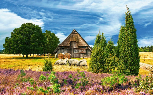  Lüneburger Heide - © Gabriele Rohde - Fotolia