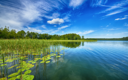 Masurische Seenplatte - © Piotr Krzeslak - stock.adobe.com