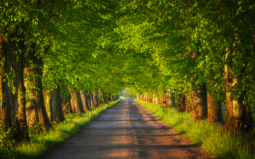 Masurische Seenplatte - © ysuel - stock.adobe.com