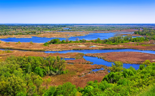 Donaudelta - © Pavel Klimenko - Fotolia