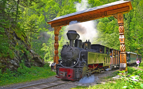 Dampf-Waldbahn