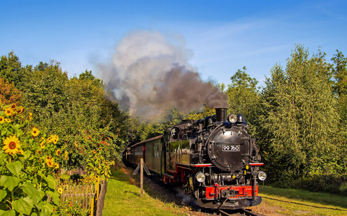 Dampfbahnfahrt - Foto: Mario England