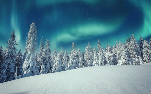 Lappland - Polarlichter - © jenyateua - stock.adobe.com