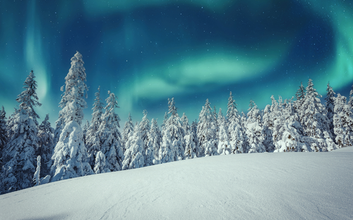 Lappland - Polarlichter - © jenyateua - stock.adobe.com