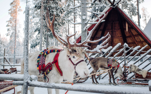 Rentier - © AntonAntonovv - stock.adobe.com
