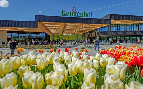 Keukenhof - Tulpenpracht