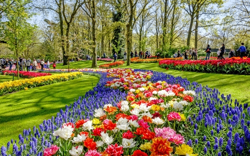 Im Keukenhof
