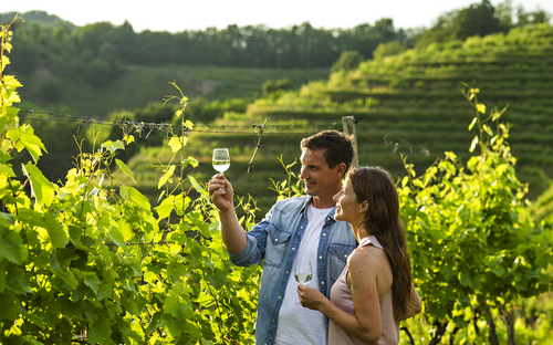 Weinprobe im Weinberg - ©SAVA Hotels & Resorts