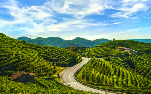 Prosecco-Straße - ©stevanzz - stock.adobe.com