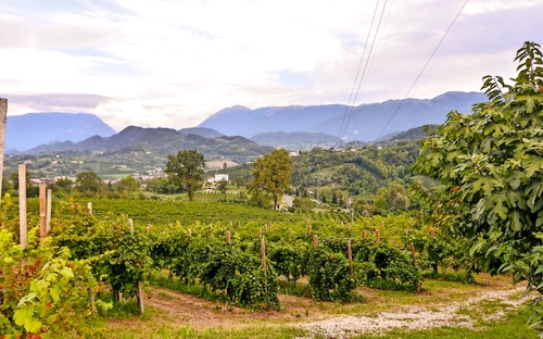 Proseccostraße - © underworld - stock.adobe.com