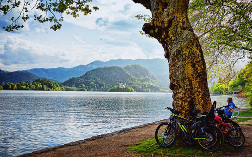 Fahrradtour am Bleder See - © Roman Babakin - stock.adobe.com