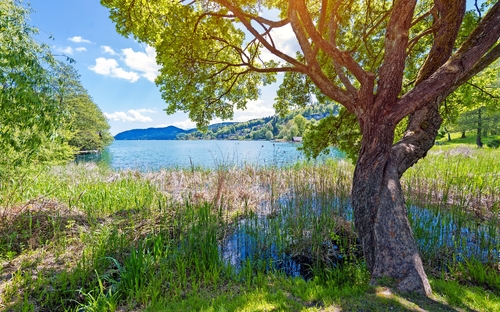 Idylle am Wörthersee - © Sonja Birkelbach - stock.adobe.com