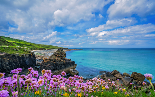 St. Ives - Küste - © pawopa3336 - stock.adobe.com