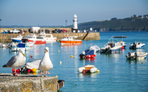 St. Ives - Hafen - © Nicole Kwiatkowski - stock.adobe.com