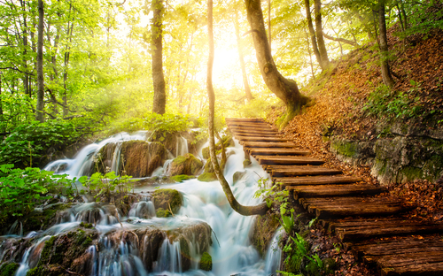 Waldbach mit kristallklarem Wasser bei den Plitvicer Seen - © pmartike - stock.adobe.com