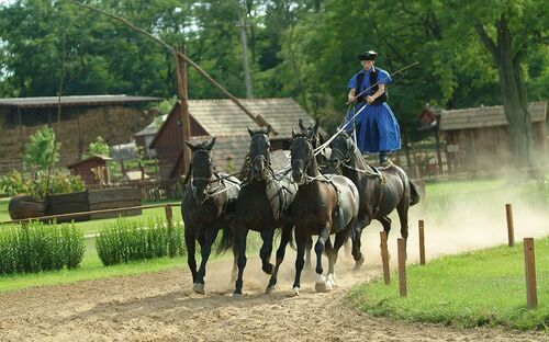 Puszta-Rundfahrt - © Ungarisches Tourismusamt