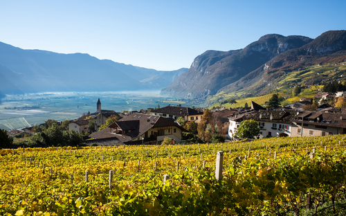 Südtirol im Herbst - ©Andreas - stock.adobe.com