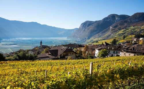 Südtirol im Herbst - ©Andreas - stock.adobe.com