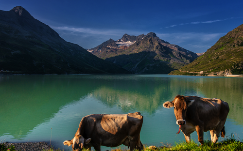 Lünersee - ©Karl Allen Lugmayer - stock.adobe.com