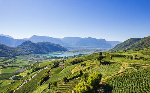 Südtiroler Weinstraße - © dimizu - stock.adobe.com