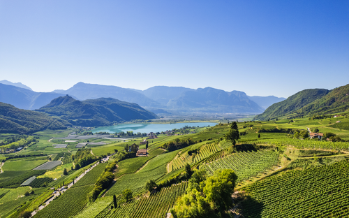 Südtiroler Weinstraße - © dimizu - stock.adobe.com